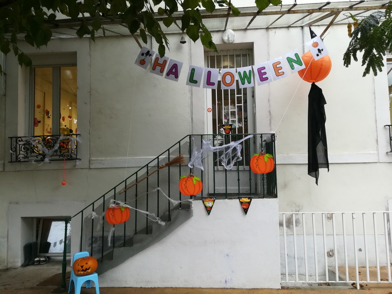 IMG 20231023 103726 resized 20231024 055456957